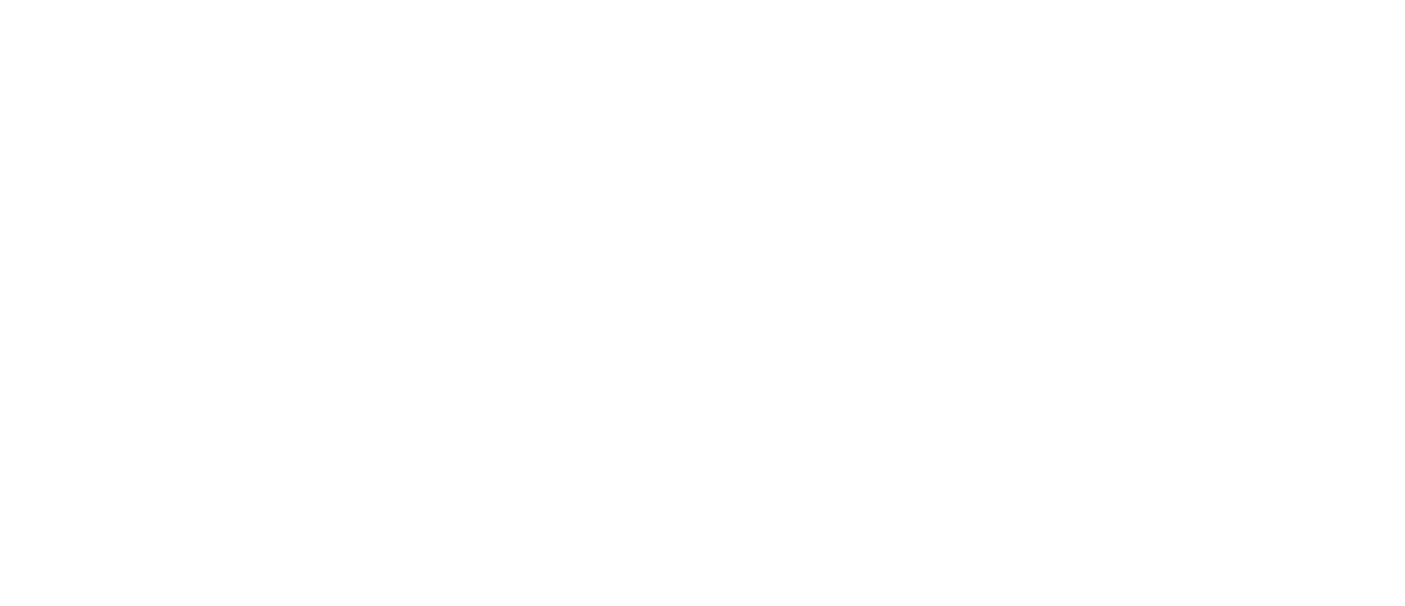 eSkills Logo